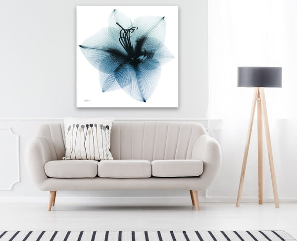 Saeid's  Flash Sales