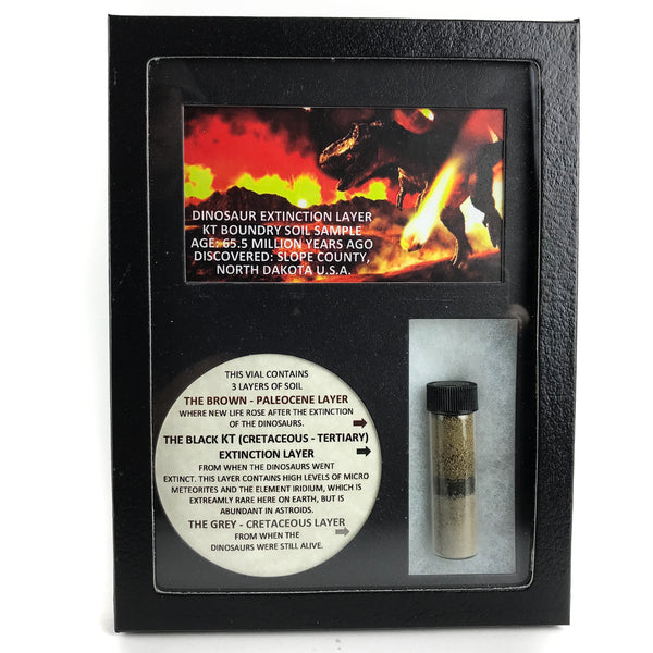 Genuine Dinosaur Extinction (3 Layer) Soil Sample Display Box