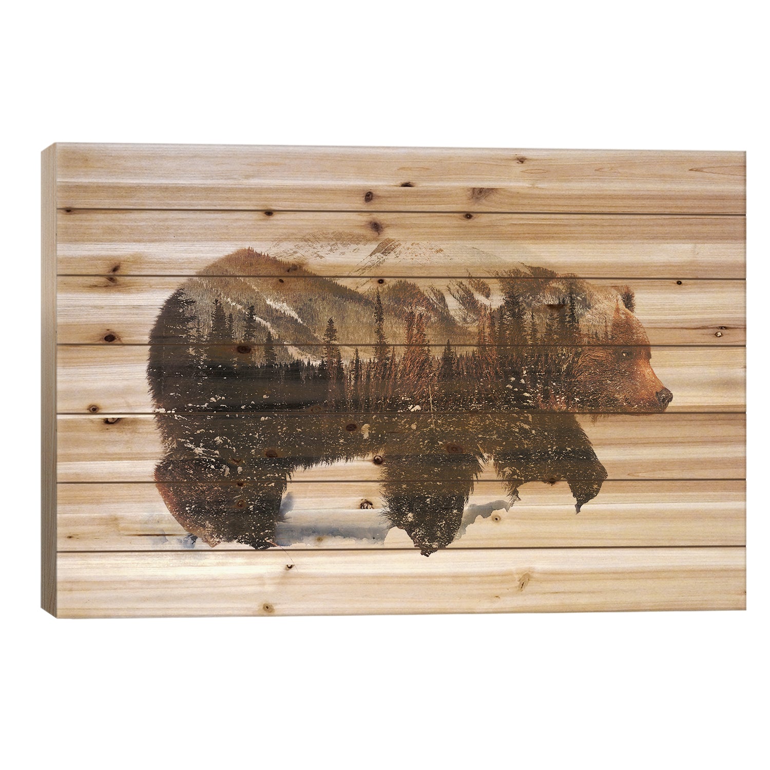 Arctic Grizzly Bear by Andreas Lie