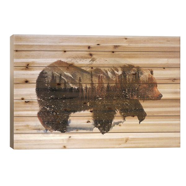 Arctic Grizzly Bear by Andreas Lie