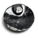 Genuine Polished Ammonite and Orthoceras Fossil Round Plate (Small)