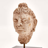 Indus Valley Head of Buddha // 4th - 5th Century AD