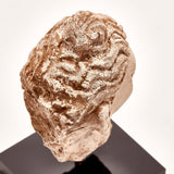 Indus Valley Head of Buddha // 4th - 5th Century AD