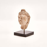 Indus Valley Head of Buddha // 4th - 5th Century AD