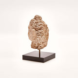 Indus Valley Head of Buddha // 4th - 5th Century AD