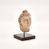 Indus Valley Head of Buddha // 4th - 5th Century AD