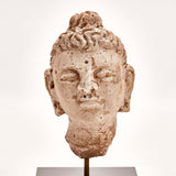 Indus Valley Head of Buddha // 4th - 5th Century AD