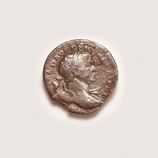 Hoard of Roman Silver Coins // Circa 145 BC to 235 AD