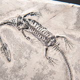 Genuine Fossilized Keichousaurus in Matrix // v1