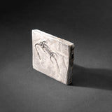 Genuine Fossilized Keichousaurus in Matrix // v1