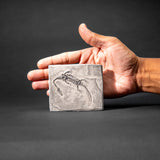 Genuine Fossilized Keichousaurus in Matrix // v1