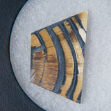 Genuine Woolly Mammoth Tusk in Display Box