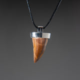 Genuine Mosasaur Tooth Pendant with 18" Cord Necklace