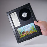 GenuinePermian Cave Fossil (Life Before Dinosaur) in Display Box