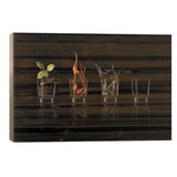 Elements... by Jose Maria Frutos